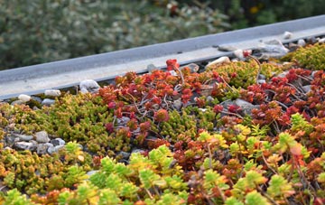 the cost of Oldland Common green roof installation