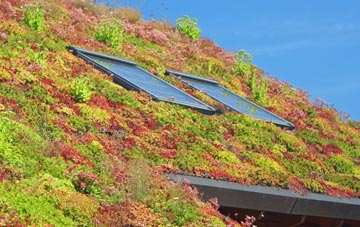 Oldland Common living roof systems